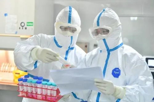 网红项目惊魂 昆明女子玩溜索突坠，头先着地引深思